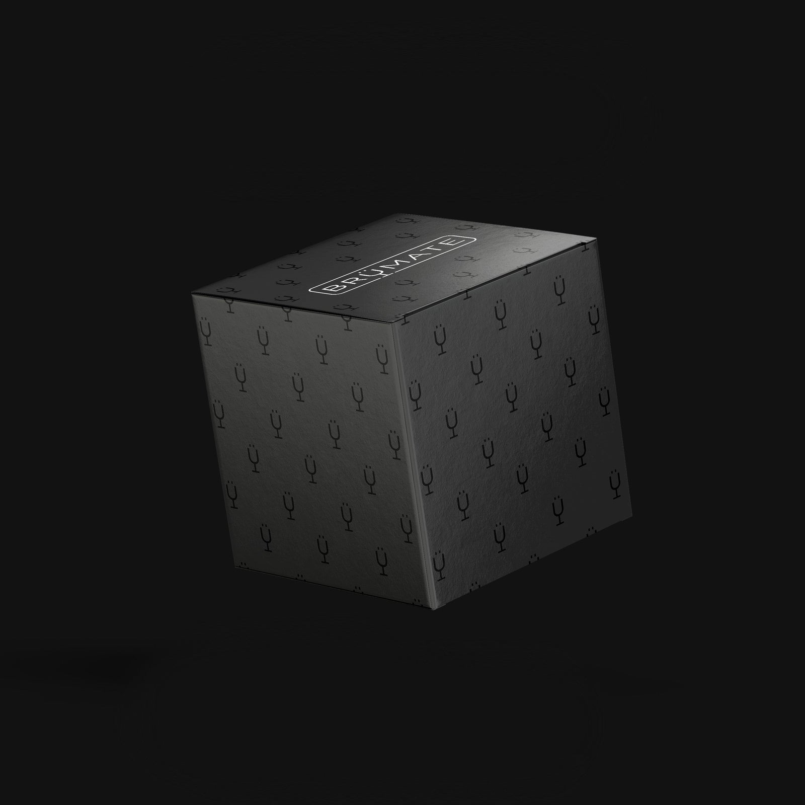 Mystery Item ($24-49 Value) I2